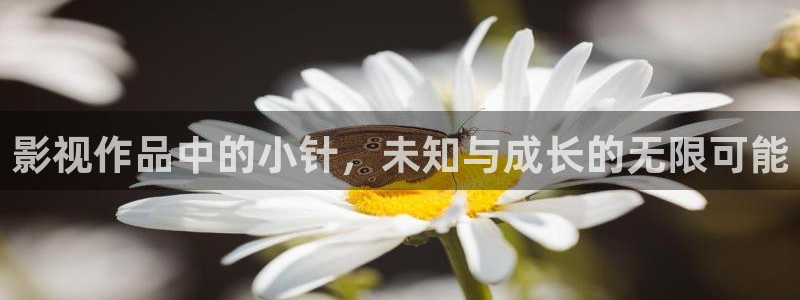 天龙影视