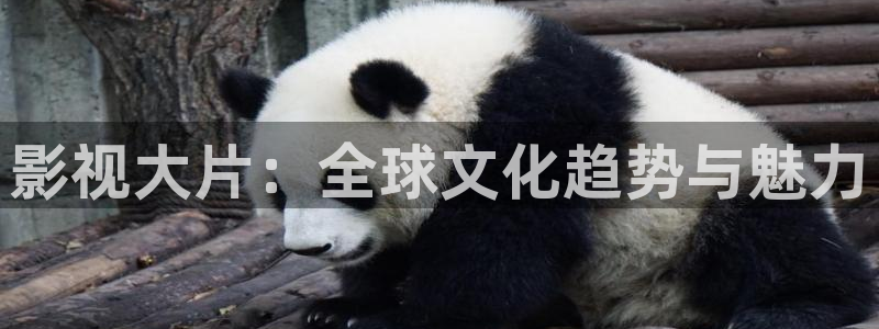 天龙影院远古电影