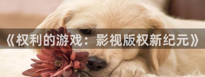 天龙远古影院在线观看免费版