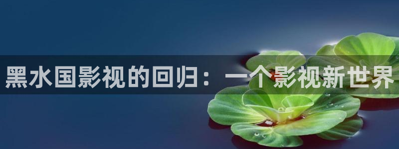 东风天龙旗舰