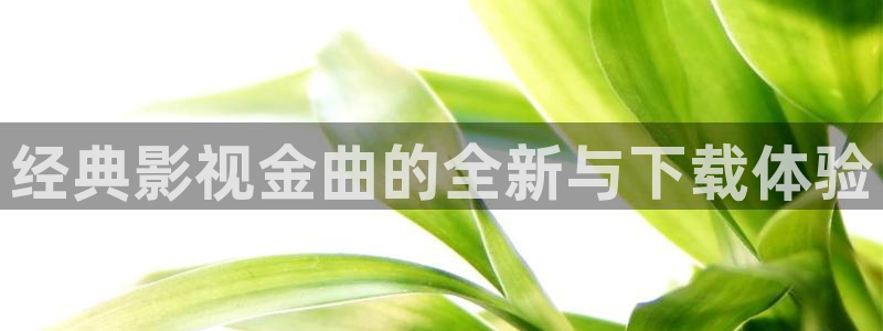 手机天龙影院
