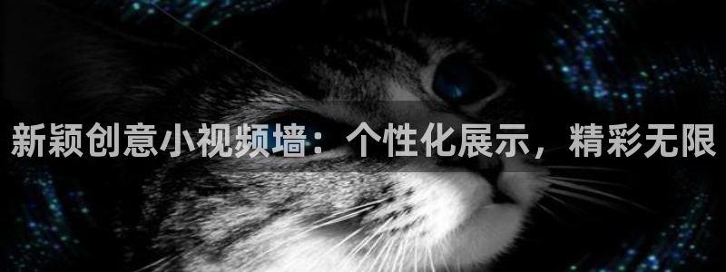 天龙 denon