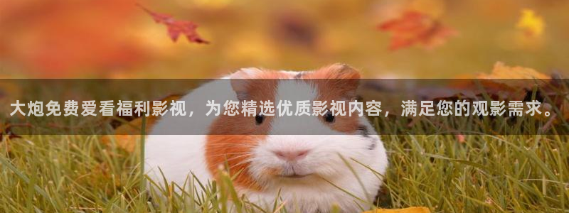 狂飙天龙影院