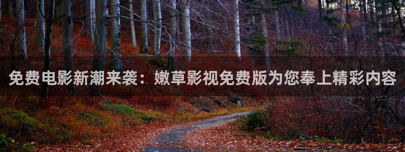天龙高清电影在线看