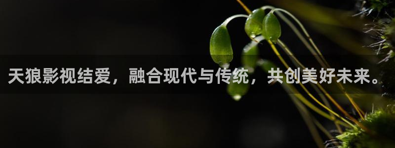 星海之外定档海报